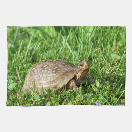 Box Turtle Theedoek (Horizontaal)