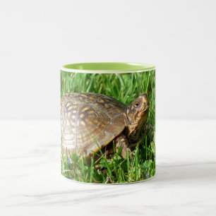 Box Turtle Tweekleurige Koffiemok