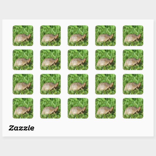 Box Turtle Vierkante Sticker (Vel)