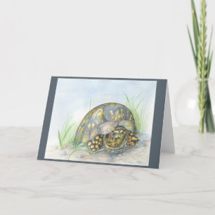 Box Turtle Wenskaart. Blanco binnenkant. Kaart