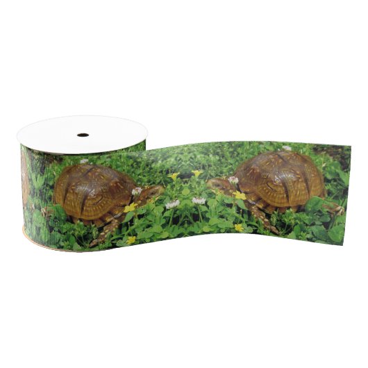 Box Turtles Summer Time Turtle Ribbon Grosgrain Lint (Spoel)