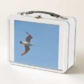 Box Une mouette sur des boîtes à lunch   (Devant)