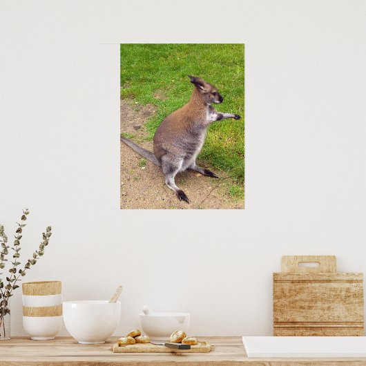 Boxe Kangaroo, Poster (Cuisine)