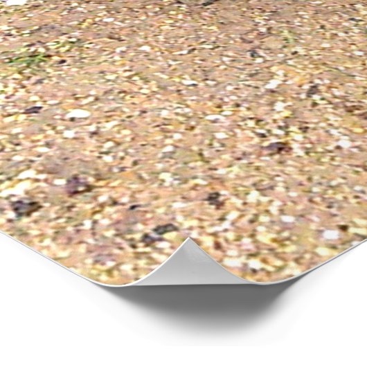 Boxe Kangaroo, Poster (Coin)