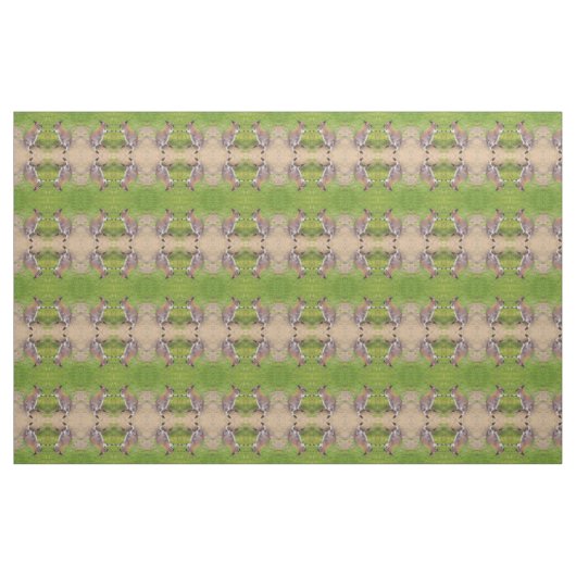 Boxe Tissu Kangaroos (Yard)