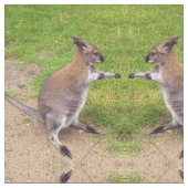 Boxe Tissu Kangaroos (Fermer)