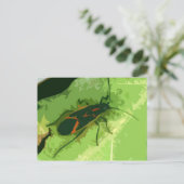 Boxelder Bug Briefkaart (Staand voorkant)