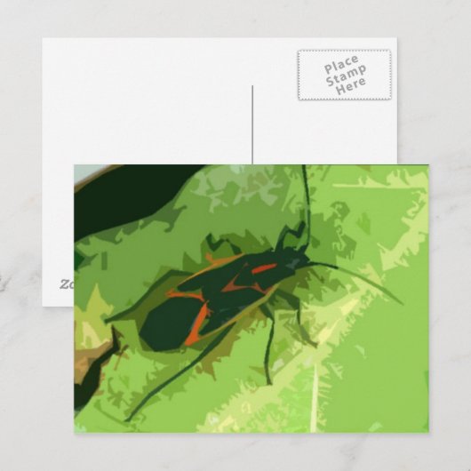Boxelder Bug Briefkaart (Voorkant / Achterkant)