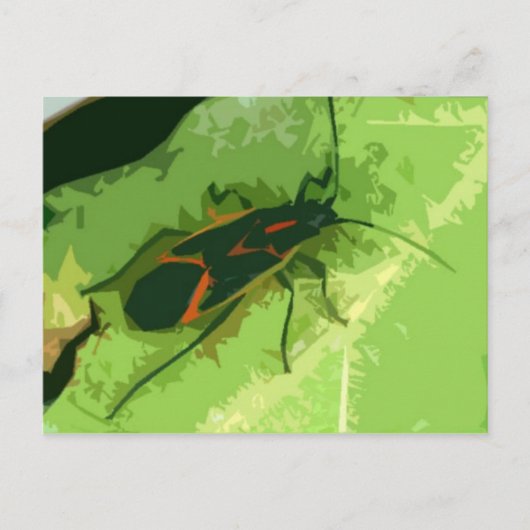 Boxelder Bug Briefkaart (Voorkant)