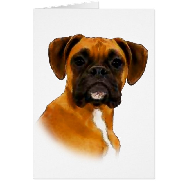 Boxer (Devant)