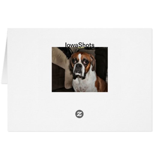 Boxer (Dos Horizontal)