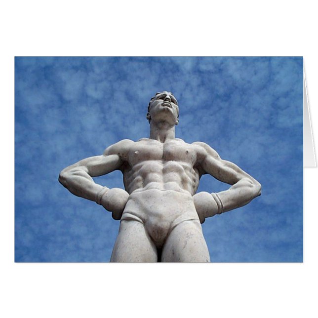 Boxer (Devant horizontal)