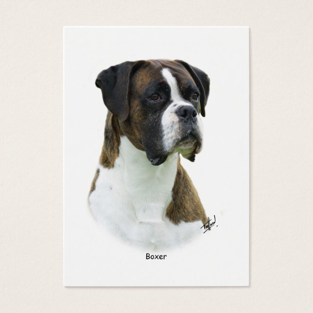 Boxer 9K65D-24 (Devant)