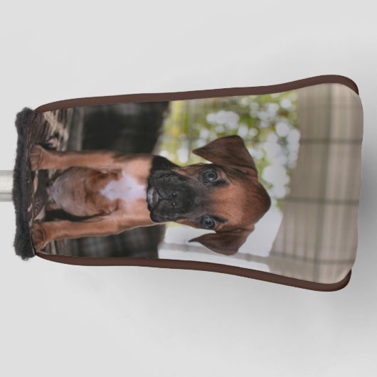 Boxer-baby golfafdekking golfheadcover (Voorkant)