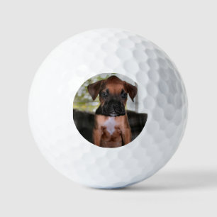 Boxer baby golfballen