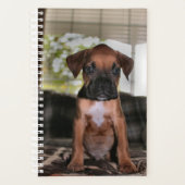 Boxer baby planner (Voorkant)