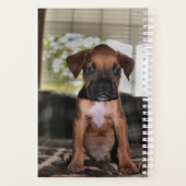 Boxer baby planner (Achterkant)