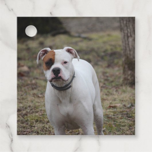 Boxer Bedankjes Labels (Voorkant)
