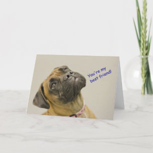 Boxer Birthday Card Kaart
