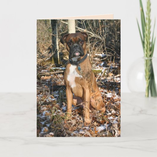 Boxer Bossen lopen Kaart (Voorkant)