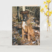Boxer Bossen lopen Kaart (Gele Bloem)