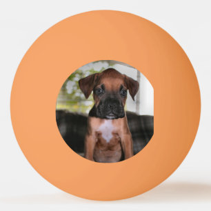 Boxer Bqby Pingpongballen