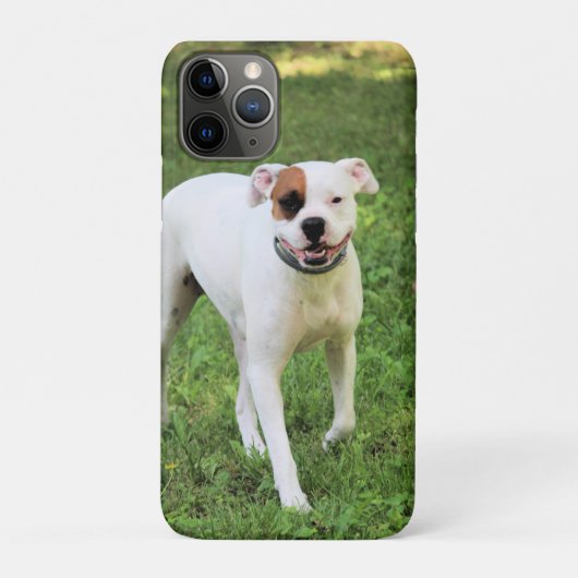Boxer Case-Mate iPhone Case (Achterkant)