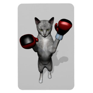 Boxer Cat Magneet
