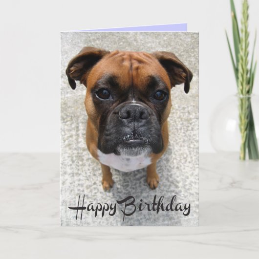 Boxer Chien Chien Chien Heureux Anniversaire Carte (Devant)