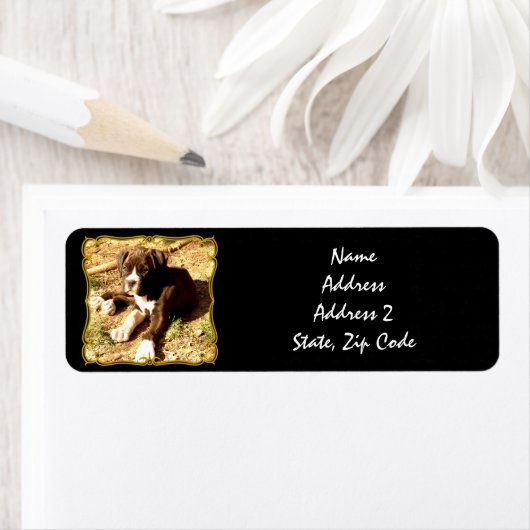 Boxer chiot expédition étiquettes (En situation)