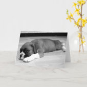 Boxer chiot "Sasha" carte de voeux relaxant (Fleur jaune)