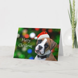 Boxer Christmas Feestdagen Kaart