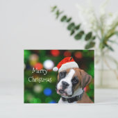 Boxer Christmas Feestdagenkaart (Staand voorkant)