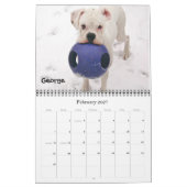 Boxer Crazy Calendar 2012 Kalender (Feb 2027)