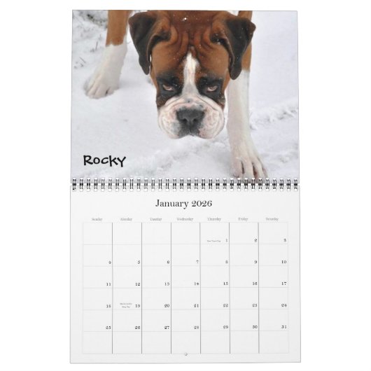 Boxer Crazy Calendar 2012 Kalender (Jan 2026)