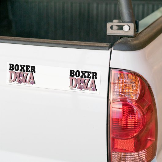 Boxer DIVA Bumpersticker (Op Truck)