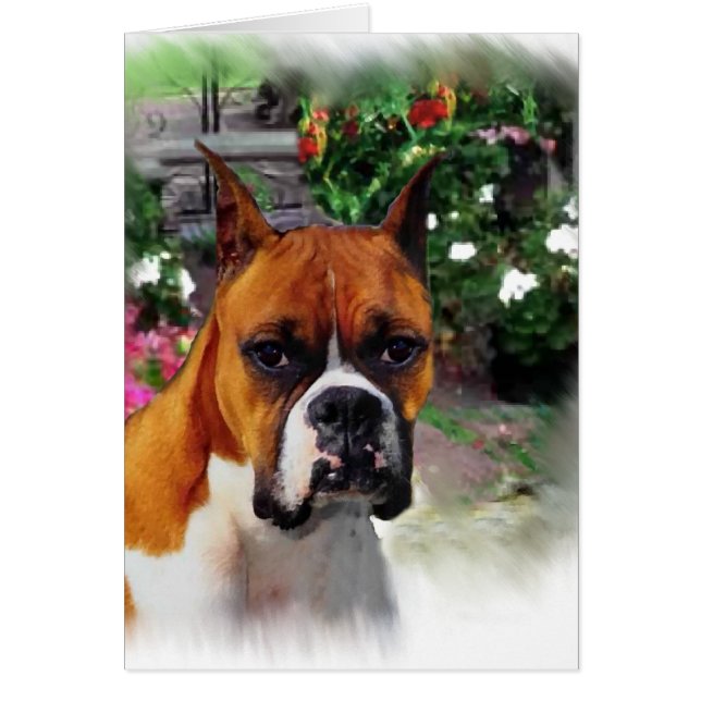 Boxer Dog Art Gifts (Voorkant)