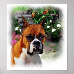 Boxer Dog Art Print