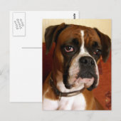 Boxer Dog Briefkaart (Voorkant / Achterkant)