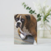 Boxer Dog Briefkaart (Staand voorkant)