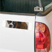 Boxer Dog Bumpersticker (Op Truck)