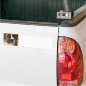 Boxer Dog Design Bumpersticker
Bumpersticker (Op Truck)