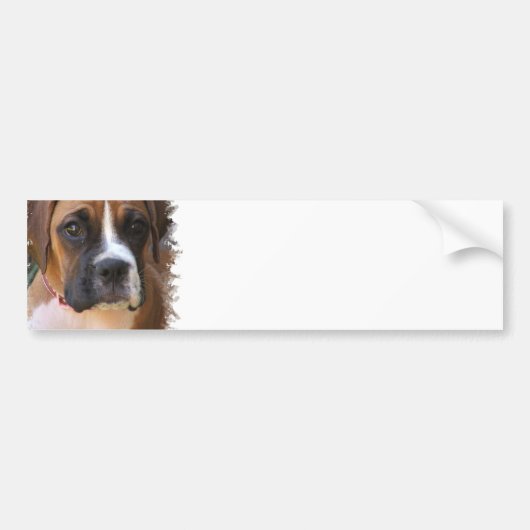 Boxer Dog Design Bumpersticker
Bumpersticker (Voorkant)