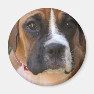 Boxer Dog Design Magnet Magneet