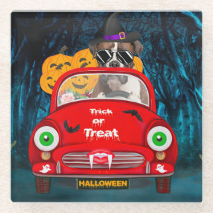 Boxer Dog Driving Car Scary Halloween Glazen Onderzetter