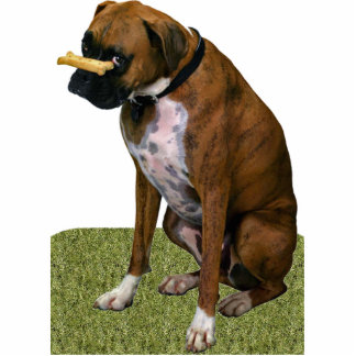 Boxer Dog Fotobeeldje Magneet