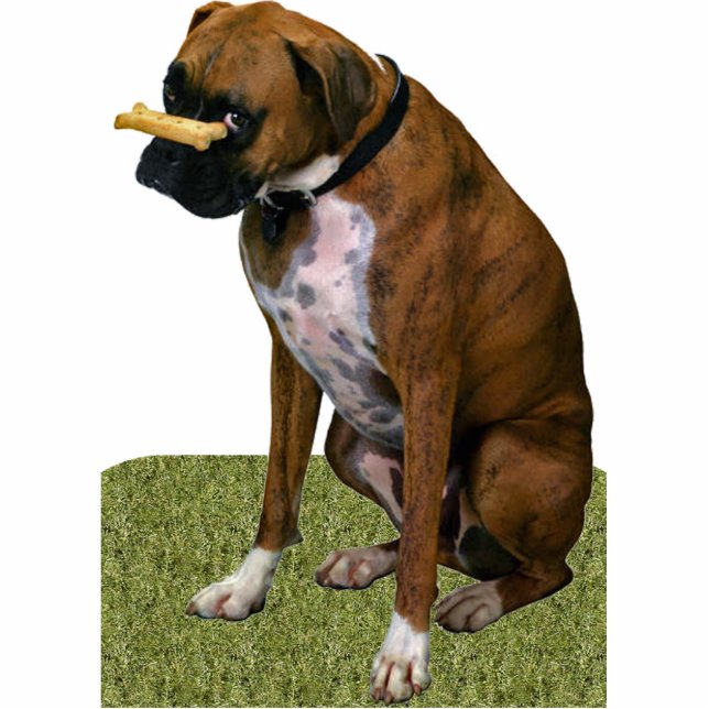 Boxer Dog Fotobeeldje Magneet (Voorkant)