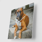 Boxer/dog fotowandklok vierkante klok (Hoek)
