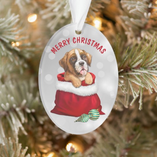 Boxer Dog Gift verrassend Ornament (Boom)