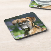 Boxer Dog Headshot Drankjes Onderzetter (Linkerzijde)